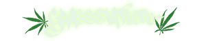 Grassstation Brand Logo