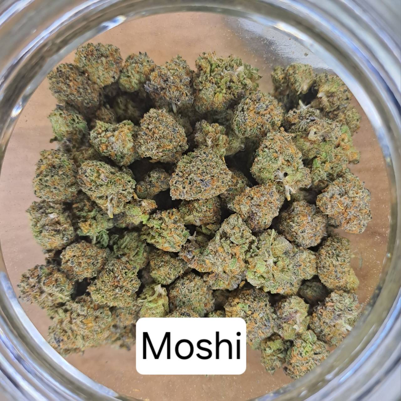 Product Image for Moshi