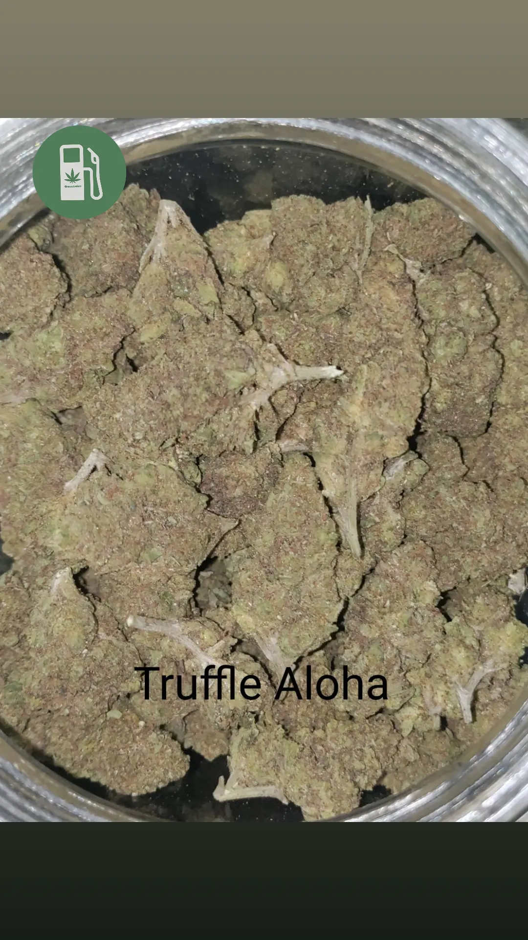 Product Image for Truffle Aloha