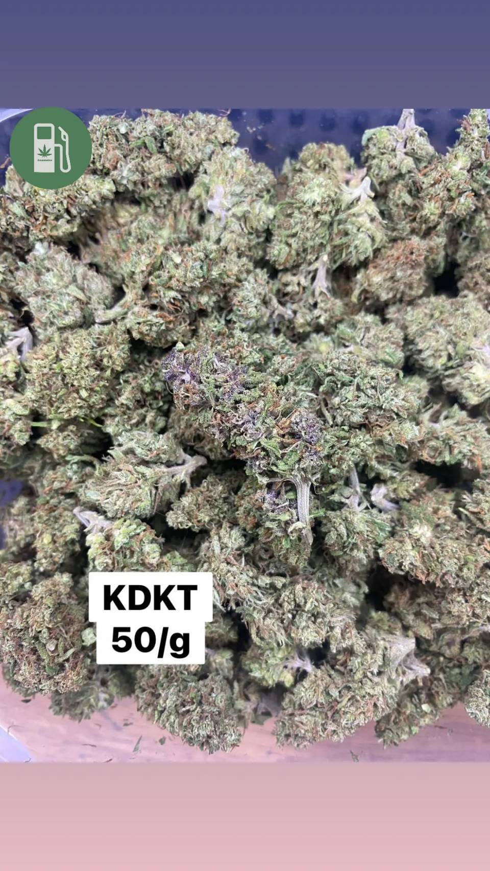 Product Image for KDKT
