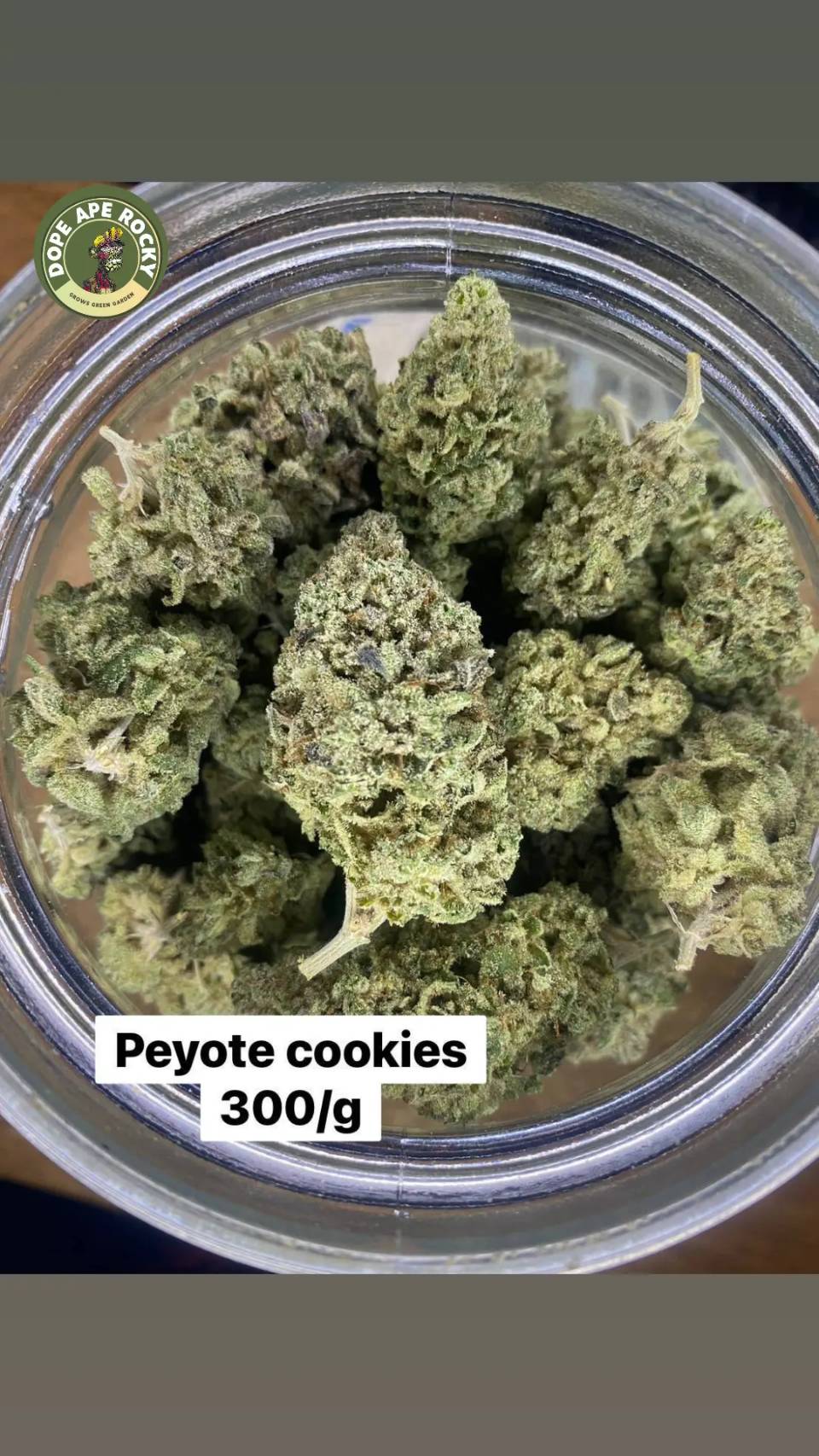 Product Image for Peyote Cookies