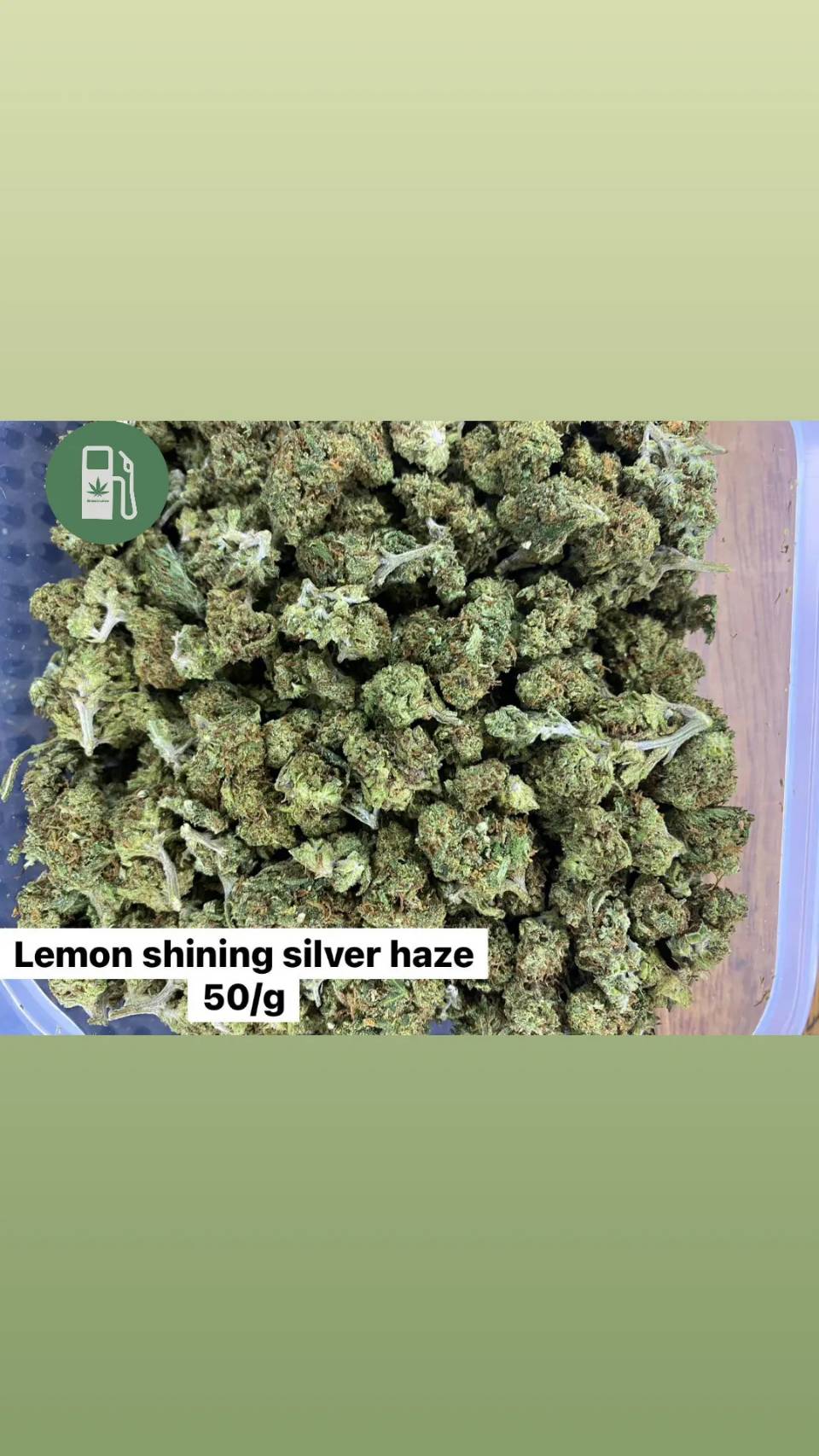 Product Image for Lemon Shining silver haze