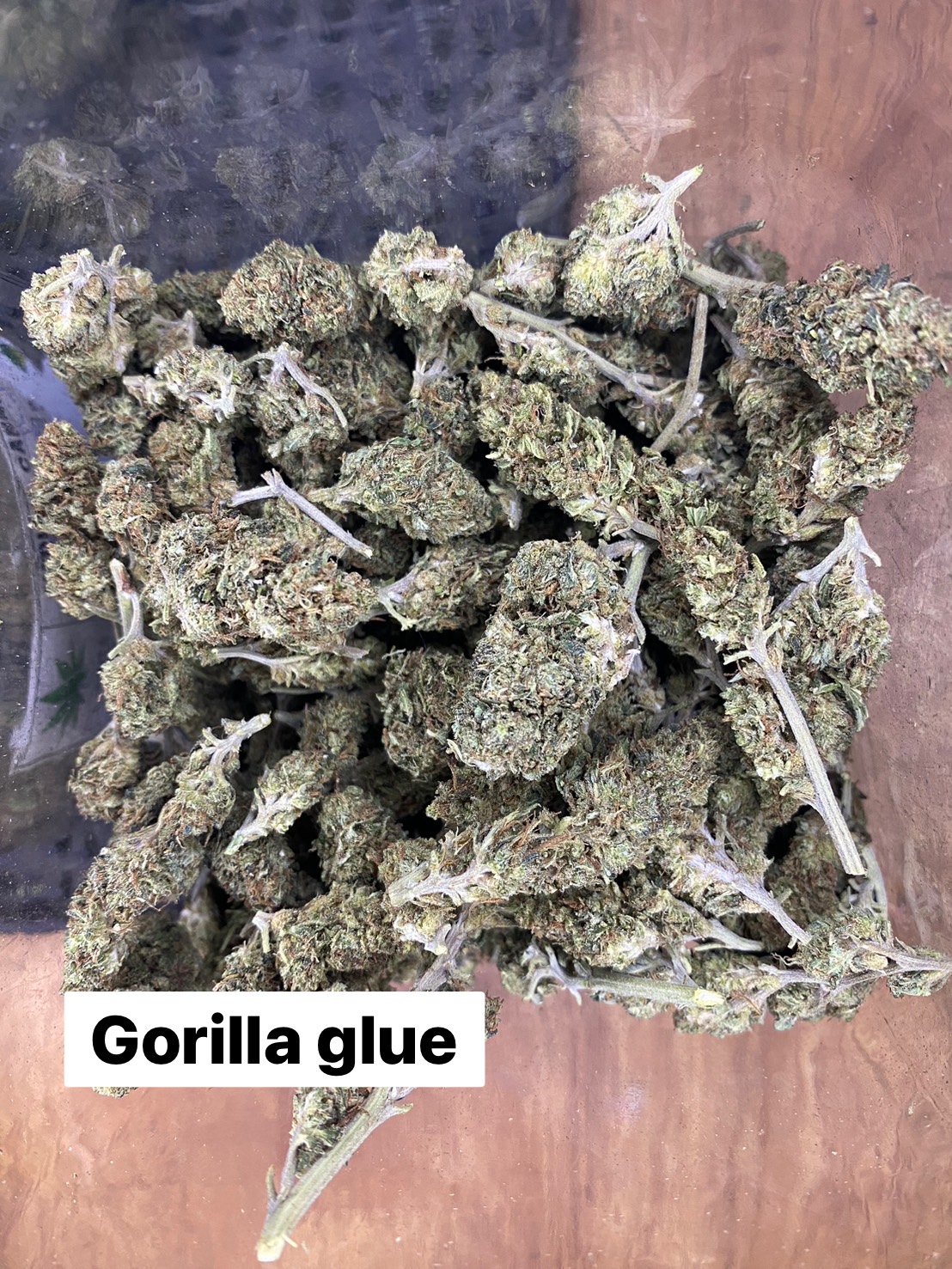 Product Image for Gorilla