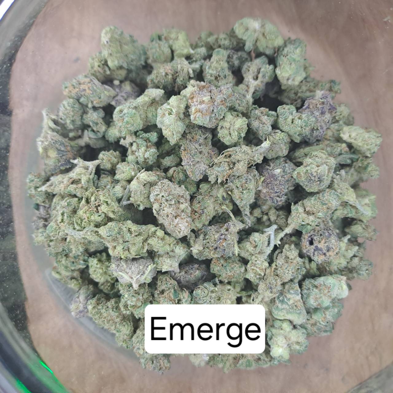 Product Image for Emerge