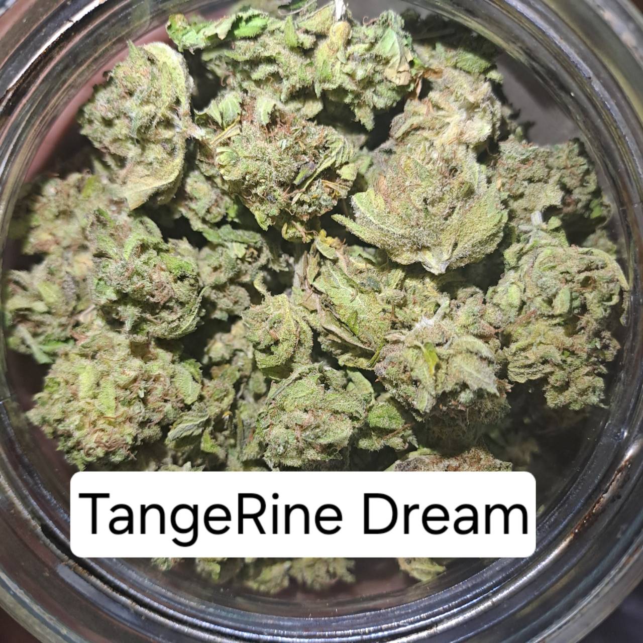 Product Image for Tangerine Dream
