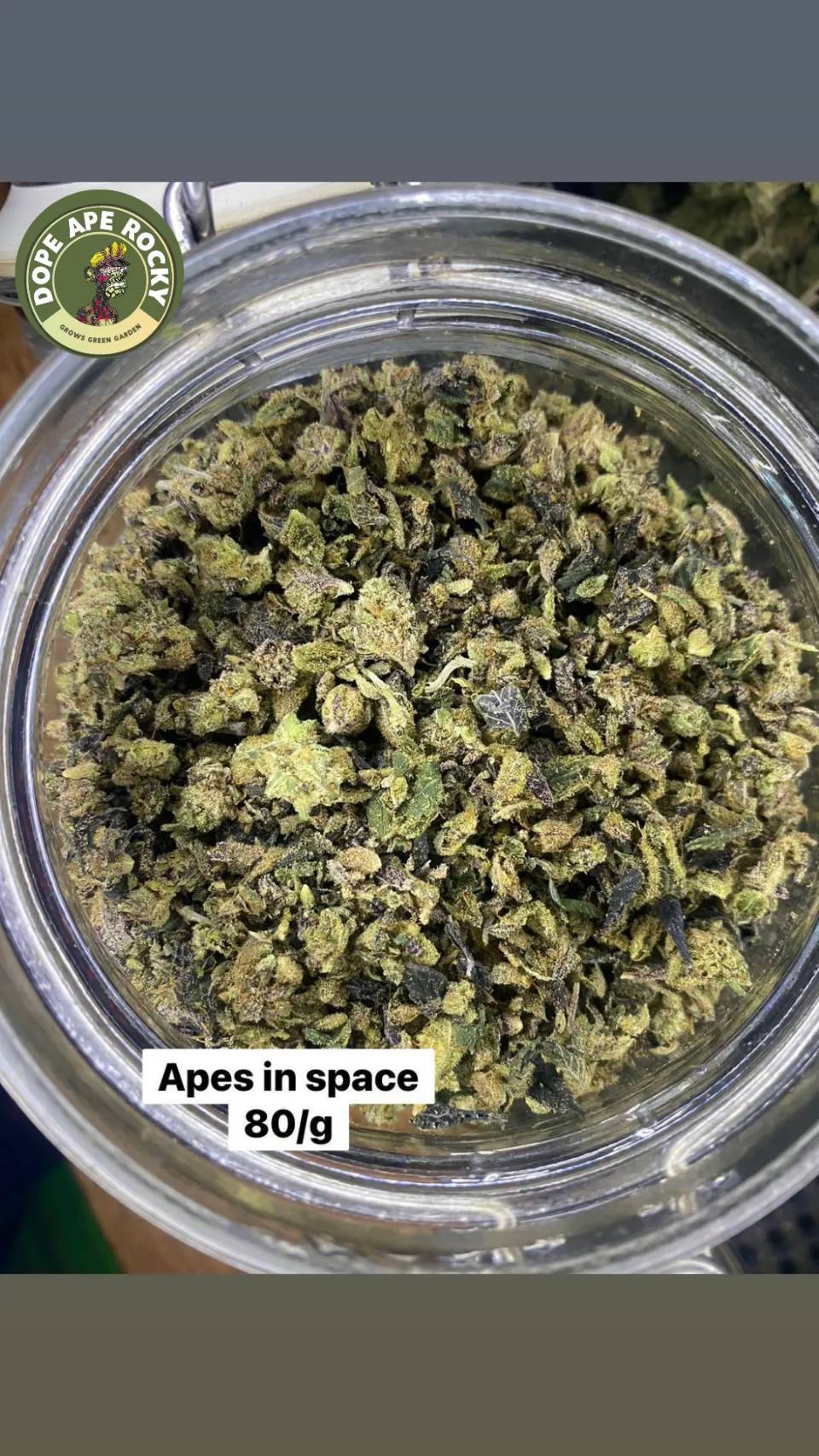 Product Image for Ape in Space