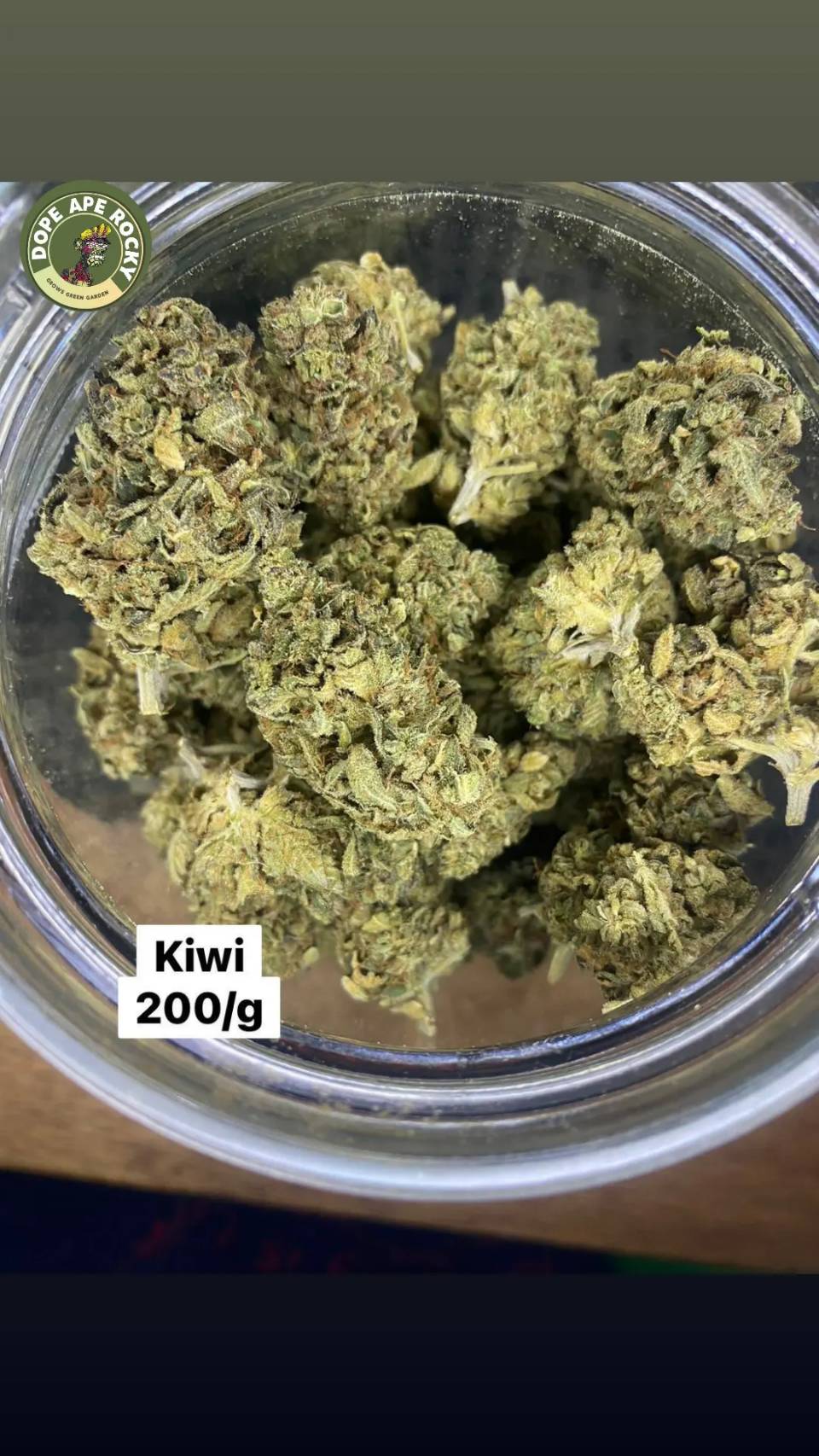 Product Image for Kiwi