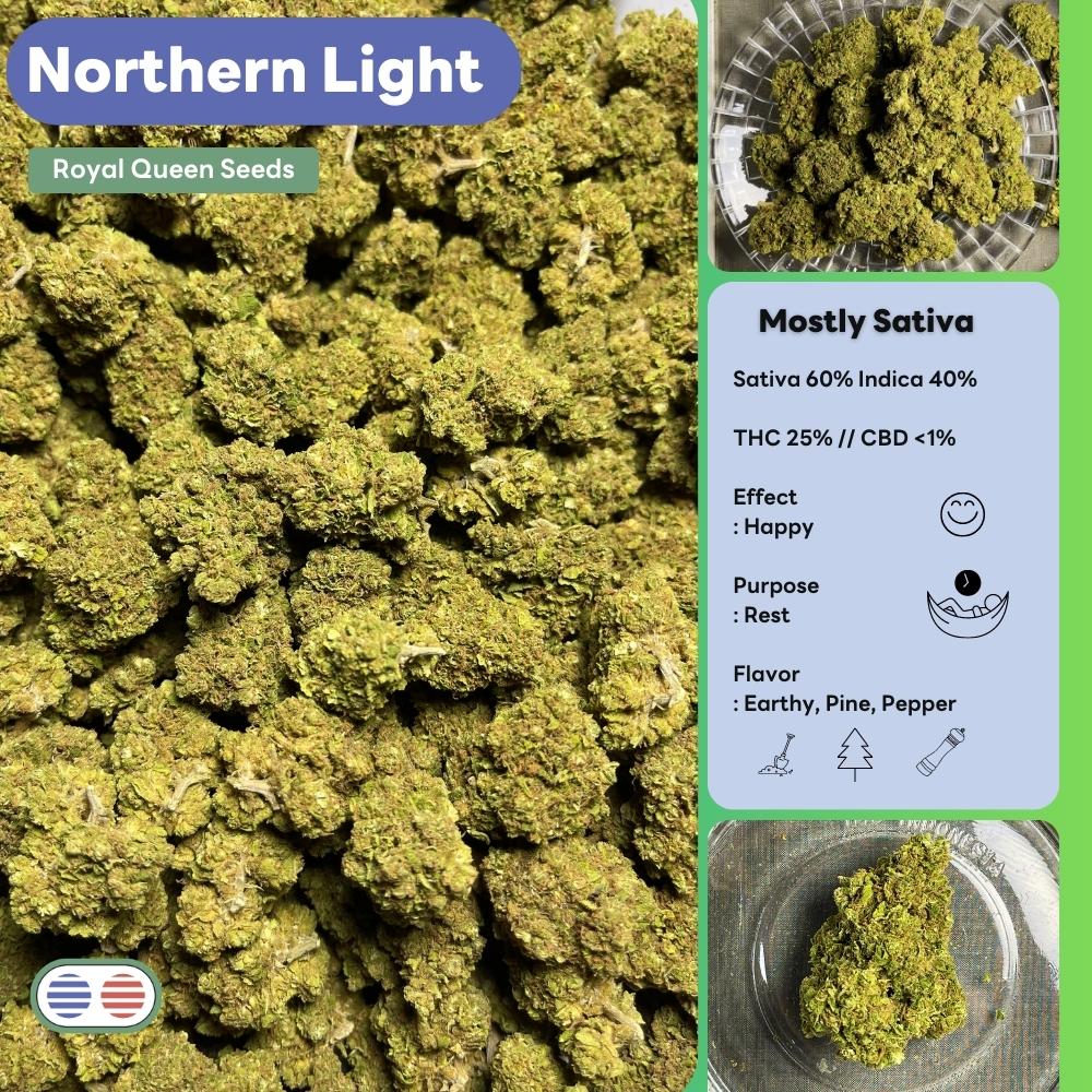 Product Image for Northern Lights